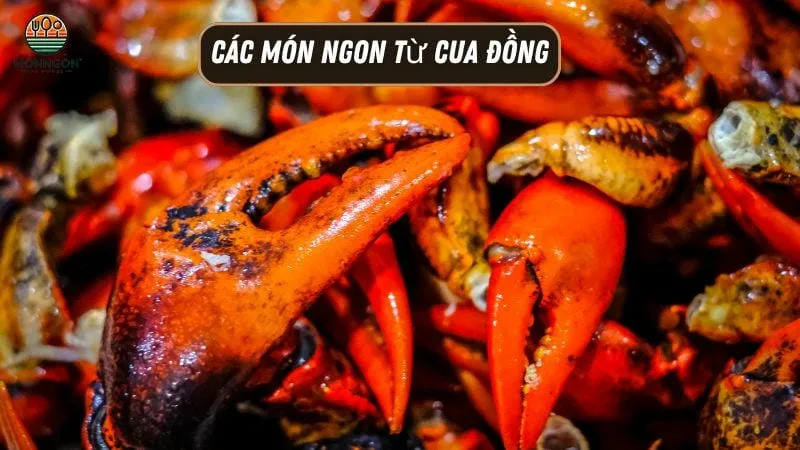 Các món ngon từ cua đồng - Công thức dễ làm & lợi ích