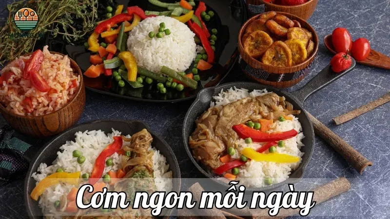 Bí quyết nấu cơm ngon mỗi ngày đơn giản tại nhà cho người mới
