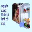 Mẹo khử mùi tủ lạnh nhanh chóng, hiệu quả chỉ trong 5 phút
