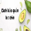 Cách bảo quản bơ chín đúng cách tránh úng thối và chảy nhựa