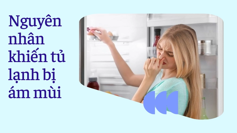 Nguyên nhân phổ biến khiến tủ lạnh bị ám mùi khó chịu