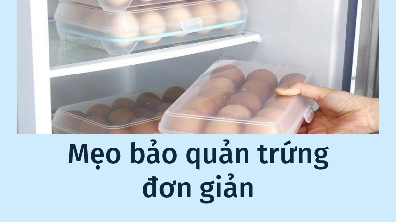 Hướng dẫn xếp trứng vào khay để giữ độ tươi ngon nhất