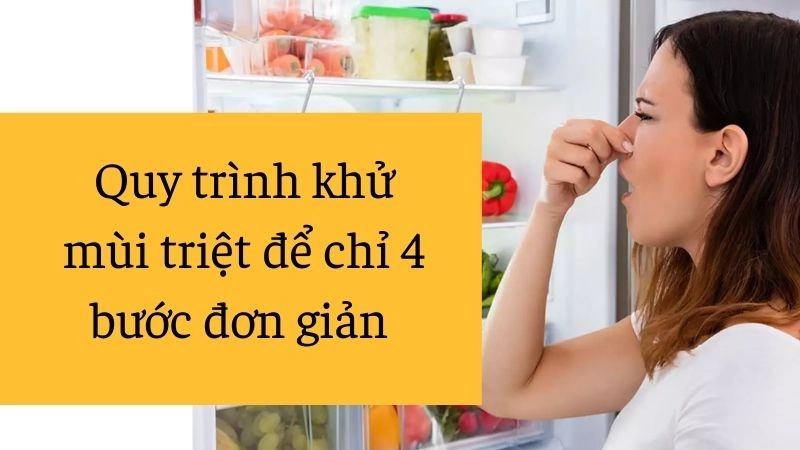 Quy trình khử mùi triệt để chỉ 4 bước đơn giản 