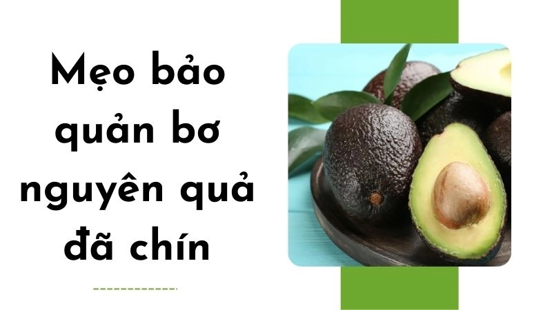 Mẹo bảo quản bơ nguyên quả đã chín