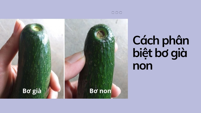 Dao gọt hoa quả phân biệt bơ già hay non