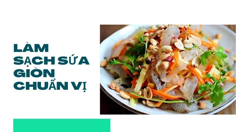 Hướng dẫn cách làm sạch sứa giòn ngon đúng chuẩn