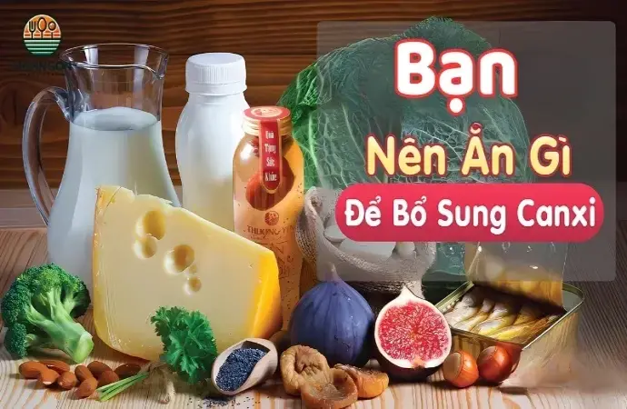 Ăn gì bổ sung canxi? Các thực phẩm giàu canxi cho xương