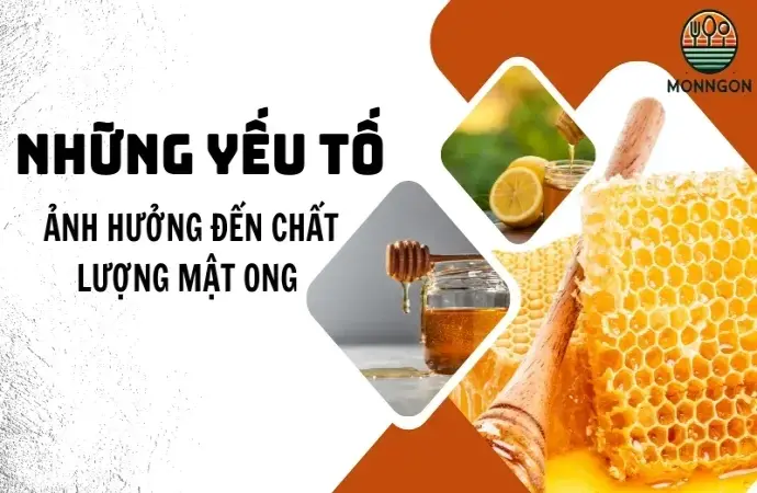 Mẹo bảo quản mật ong tại nhà giúp kéo dài thời gian sử dụng