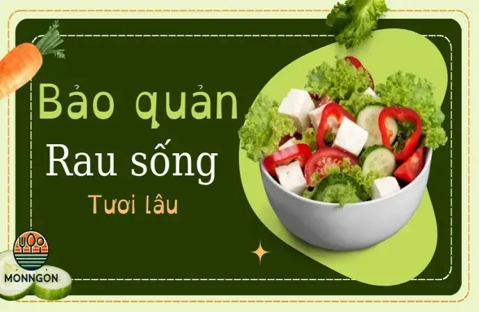 Cách bảo quản rau sống tươi lâu trong tủ lạnh đơn giản