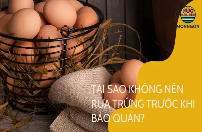 Tại sao không nên rửa trứng trước khi cho vào tủ lạnh? Cách bảo quản đúng