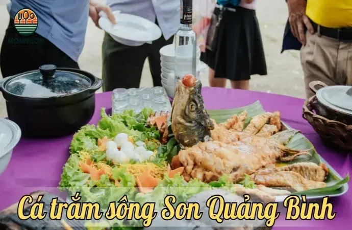 Khám phá hương vị cá trắm sông Son – Đặc sản nổi tiếng Quảng Bình