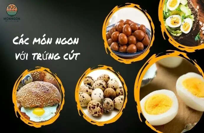 Khám phá các món ăn đặc sắc với trứng cút