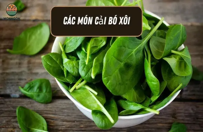 Các món từ cải bó xôi - Công thức dễ làm & lợi ích