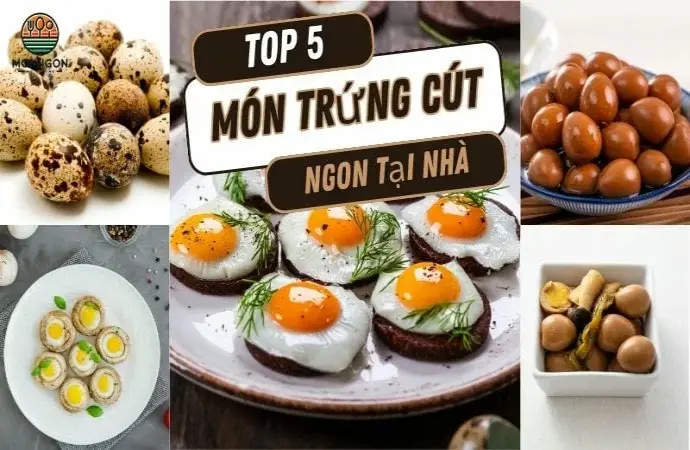 Top 5 món ngon từ chim cút – thơm ngon, bổ dưỡng không thể bỏ qua