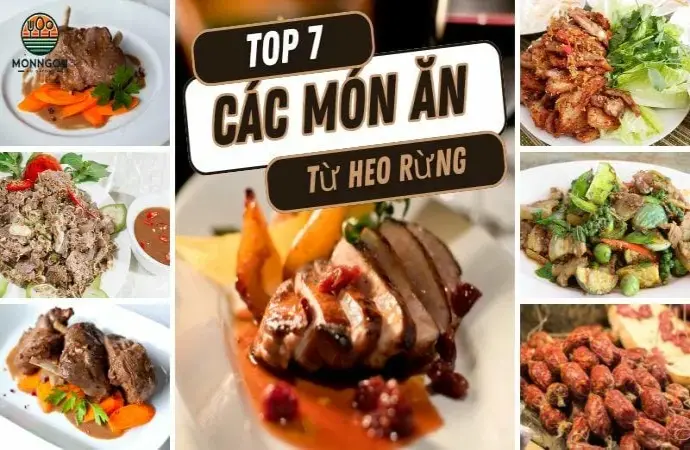 7 Món heo rừng ngon miệng bạn nên thử ngay