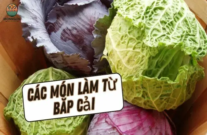 Các món làm từ bắp cải - Công thức dễ làm & lợi ích