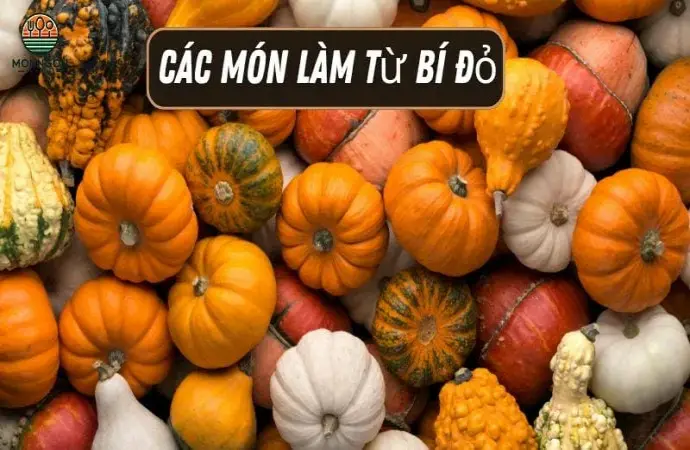 Các món ăn ngon từ bí đỏ - Công thức đơn giản và lợi ích sức khỏe