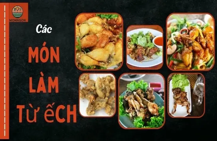 Các món làm từ ếch - Công thức dễ làm & lợi ích