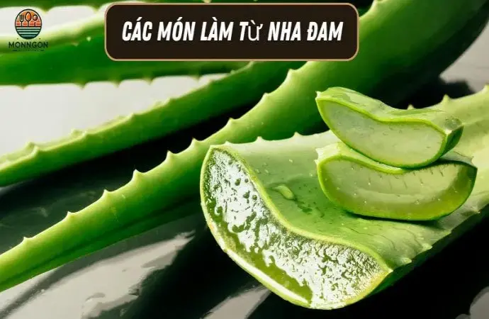 Các món làm từ nha đam - Công thức dễ làm & lợi ích