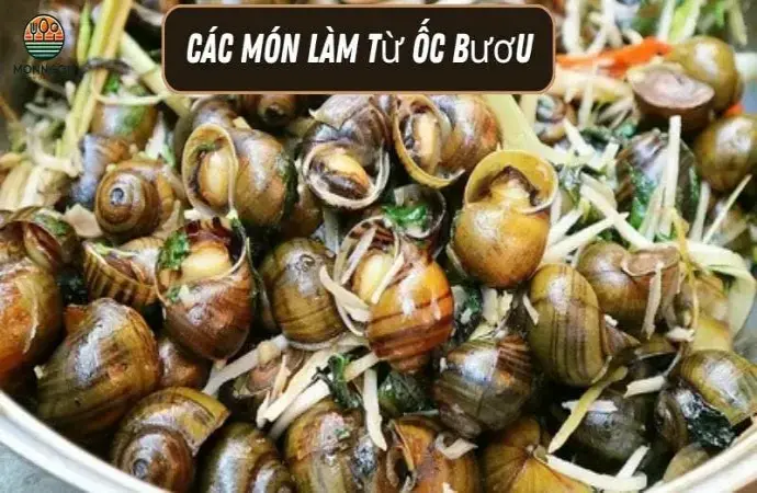 Các món làm từ ốc bươu - Công thức dễ làm & lợi ích