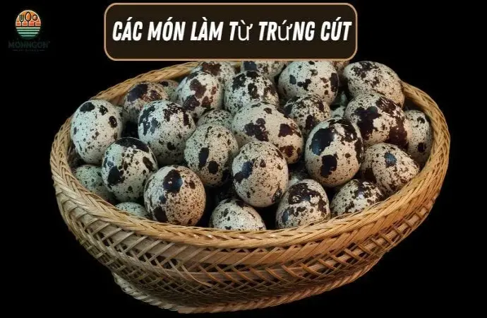 Những món ăn từ trứng cút đơn giản làm tại nhà