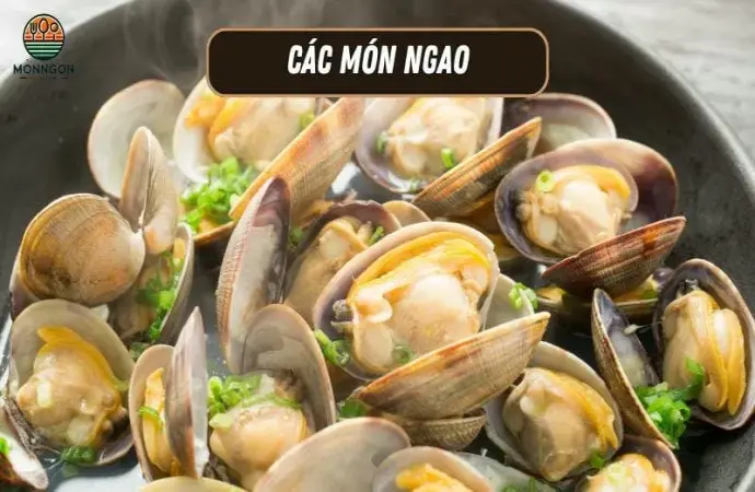 Các món từ ngao - Công thức dễ làm & lợi ích