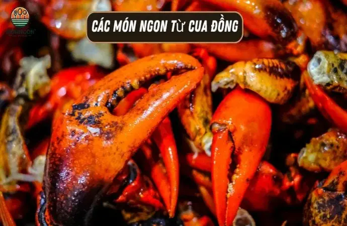 Các món ngon từ cua đồng - Công thức dễ làm & lợi ích