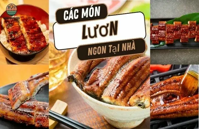 Cách làm các món ăn từ lươn: Ngon miệng và dễ thực hiện tại nhà