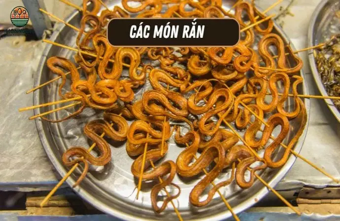 Các món ăn từ rắn - Công thức dễ làm & lợi ích