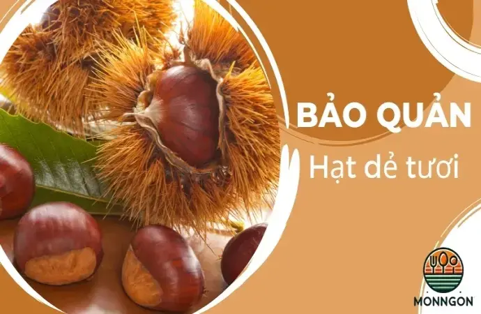 Cách bảo quản hạt dẻ tươi đúng cách lưu trữ tới 1 năm