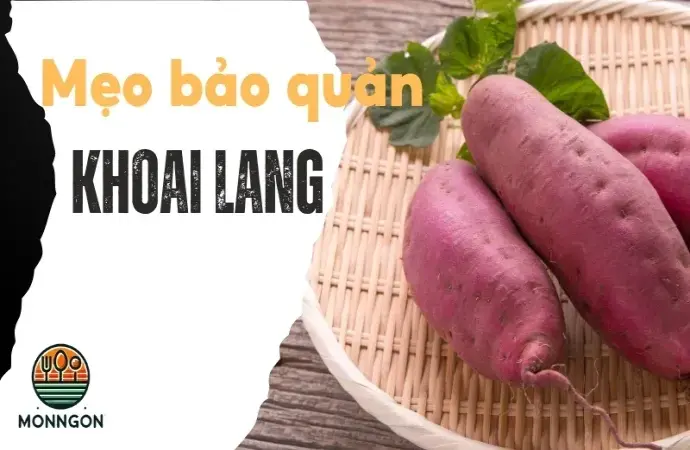 Mẹo bảo quản khoai lang lâu dài không bị lên mầm