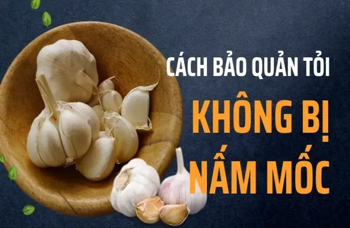 Bí quyết bảo quản tỏi tươi lâu mà không bị mọc mầm hay mốc