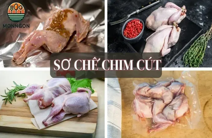 Top 5 cách chế biến chim cút ngon như nhà hàng