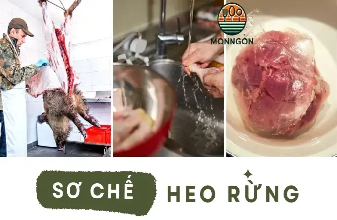 Cách chế biến thịt heo rừng không bị dai, giữ trọn hương vị