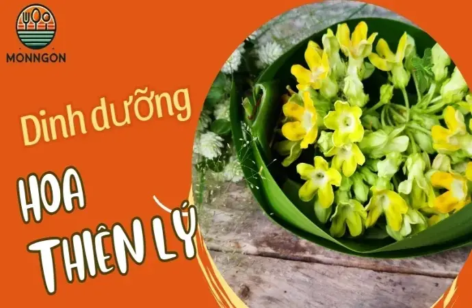 Mẹo chế biến hoa thiên lý giòn ngon mà không bị nát