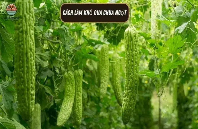 Hướng dẫn chi tiết cách làm khổ qua chua ngọt ngon tại nhà