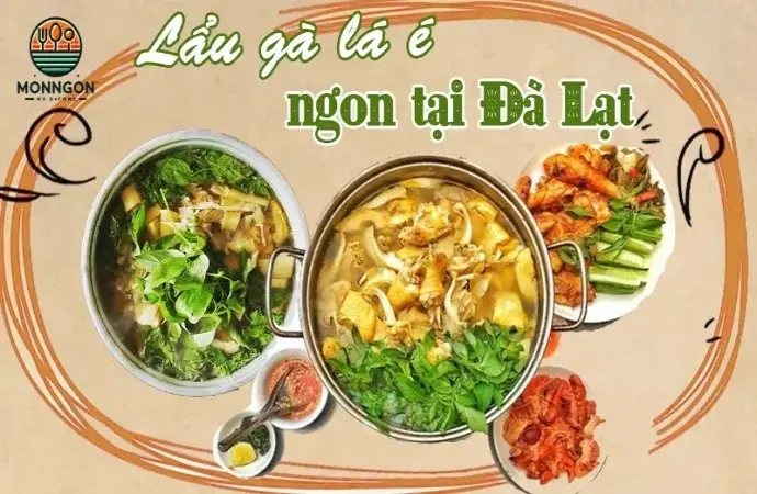 Lẩu gà lá é – Đặc sản ngon nhất khi đến thành phố Đà Lạt