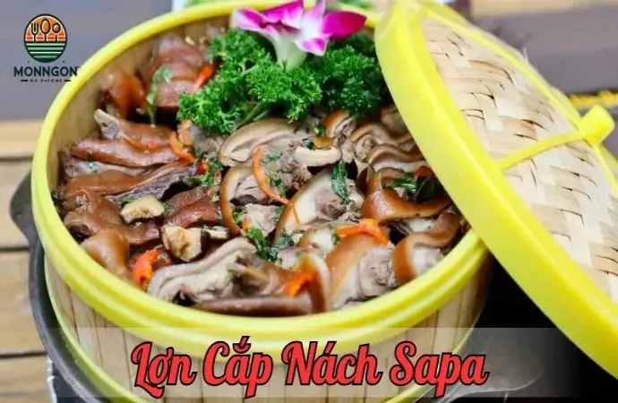 Khám phá đặc sản lợn cắp nách Sapa – Hương vị núi rừng đậm đà