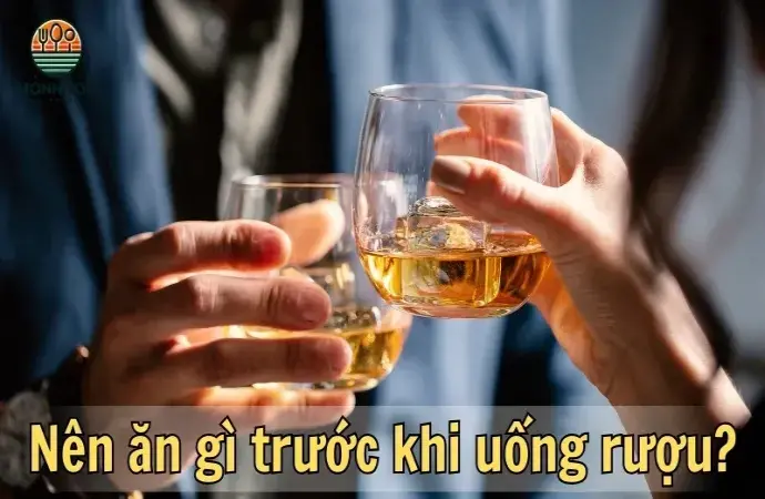 Nên ăn gì trước khi uống rượu? Gợi ý để giảm tác hại của cồn