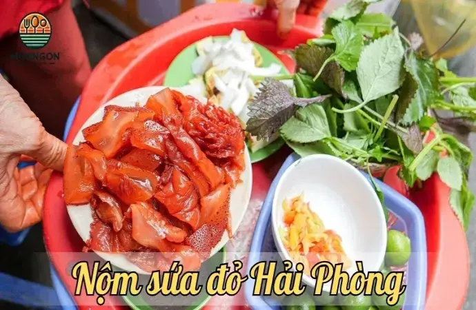 Nộm sứa đỏ Hải Phòng - Món ăn đặc sản được du khách yêu thích