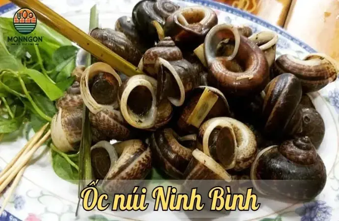 Ốc núi Ninh Bình - Món ăn đặc sản được yêu thích trong mùa hè