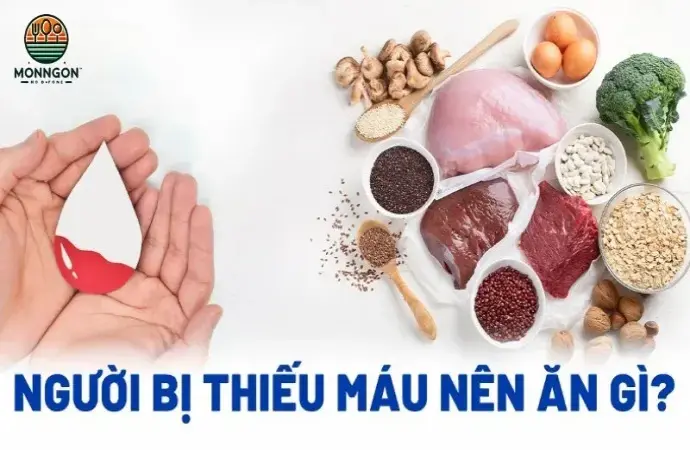 Thiếu máu ăn gì? Hướng dẫn chế độ ăn giúp tăng cường máu