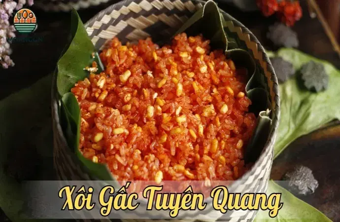 Xôi gấc Tuyên Quang - Món ngon đậm chất truyền thống trong dịp lễ