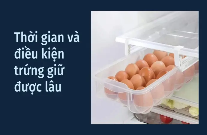 Bí quyết bảo quản trứng tươi lâu và an toàn cho sức khỏe
