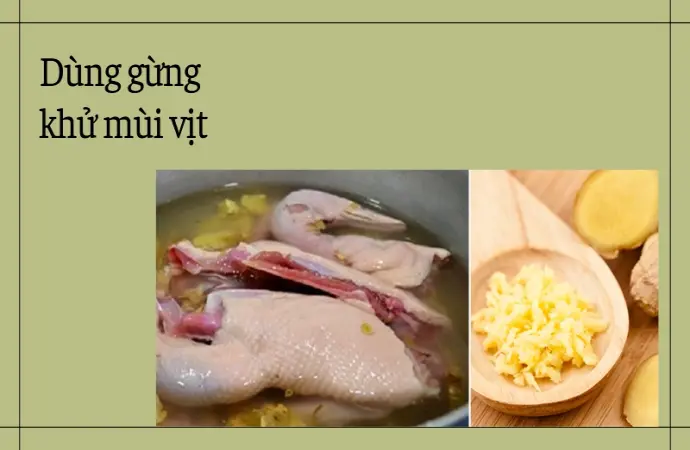 Bí quyết khử mùi hôi thịt vịt sạch sẽ như đầu bếp chuyên nghiệp