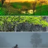 Current updates on weather in Assam and monsoon forecasts for 2026