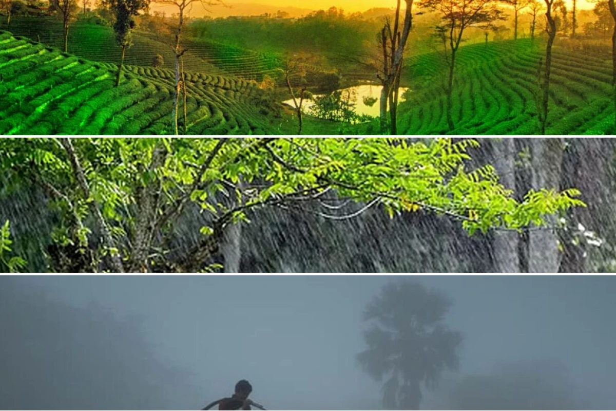 Current updates on weather in Assam and monsoon forecasts for 2026