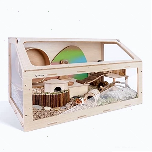 Creating a stimulating environment for pet hamsters through diverse textures