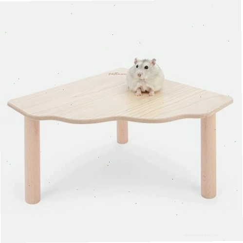 Health check for a small pet hamster
