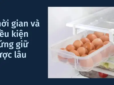 Bí quyết bảo quản trứng tươi lâu và an toàn cho sức khỏe